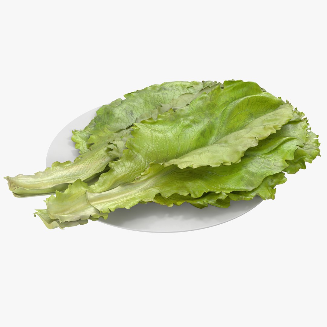 Lettuce Leaf Pile 3D Model 3D model preview