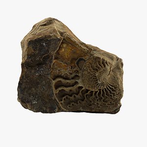 Fossil