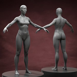 Standart Woman Body Basemesh 3D model