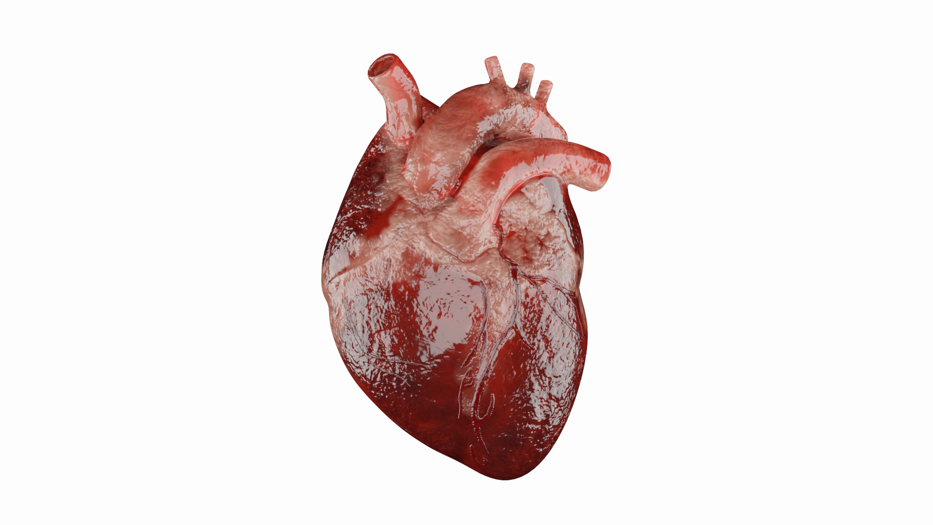 3D Human Heart 3D Model - Realistic Human Heart Anatomy Model ...