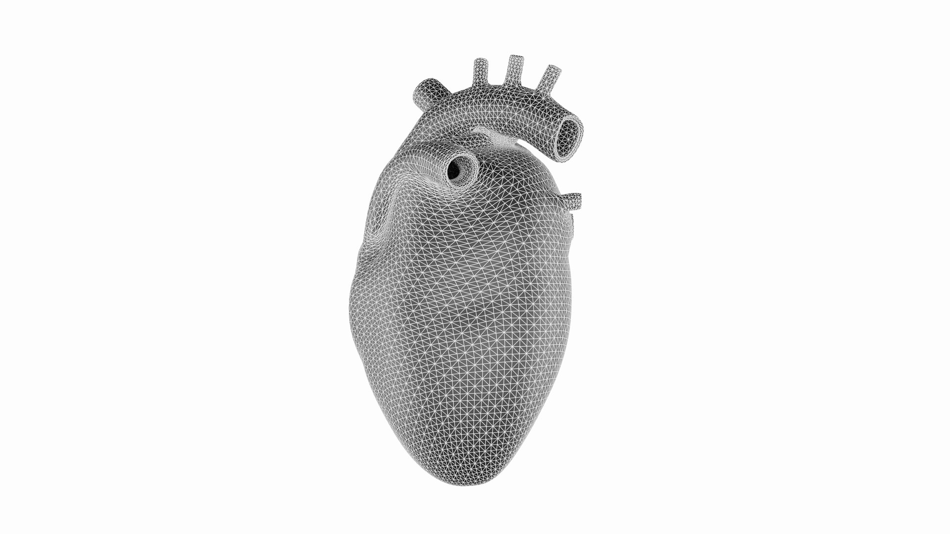 3D Human Heart 3D Model - Realistic Human Heart Anatomy model https://p.turbosquid.com/ts-thumb/HT/lrNtYi/oP/12/png/1710854368/1920x1080/fit_q87/46639222730ad1c86a35c7b66995e208d9bdf61b/12.jpg