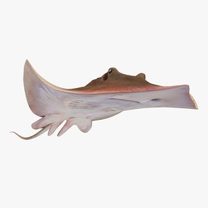 Stingray (Animated)