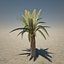 3d model desert plants pack