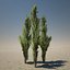 3d model desert plants pack