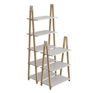 One Step Up Bookcase 3D