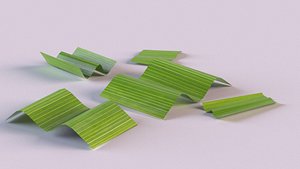 pandanus spice model