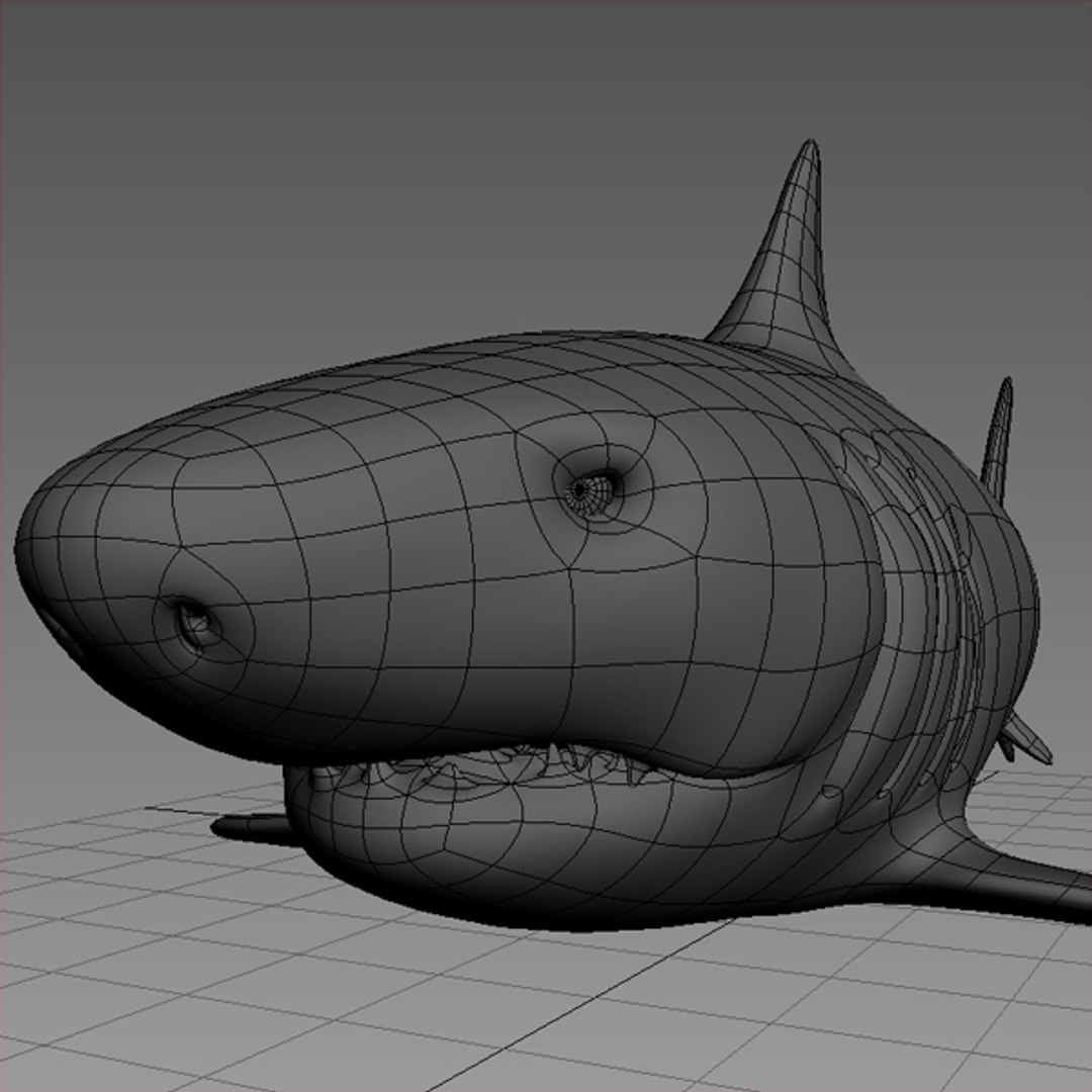 X Base Mesh Shark