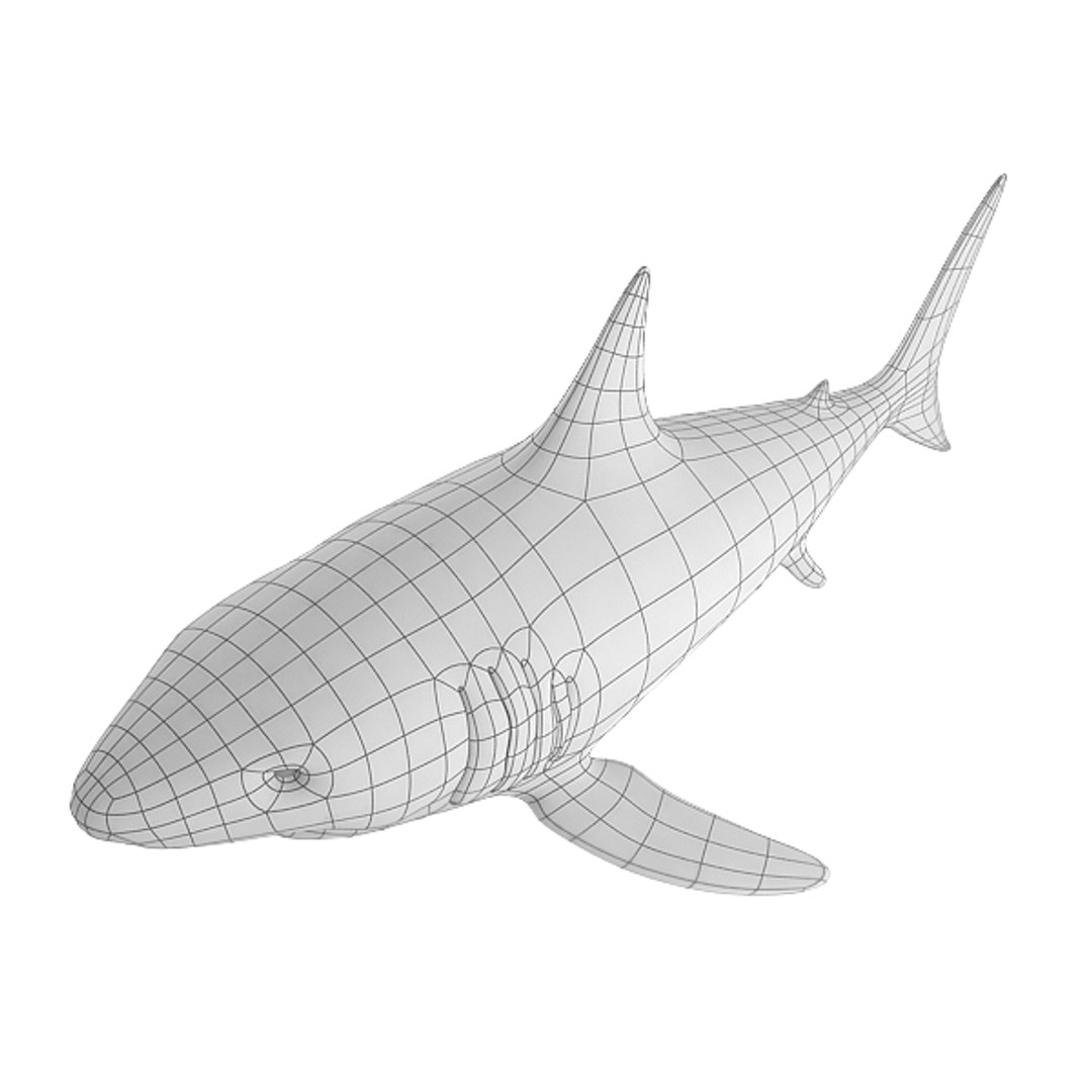 X Base Mesh Shark