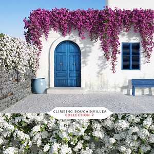 Climbing Bougainvillea Collection 2 (+GrowFX)