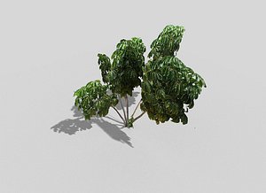 tropical tree 3d model