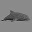 c4d animals pack elements