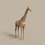 c4d animals pack elements