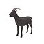 c4d animals pack elements