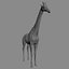 c4d animals pack elements