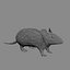 c4d animals pack elements
