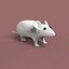 c4d animals pack elements