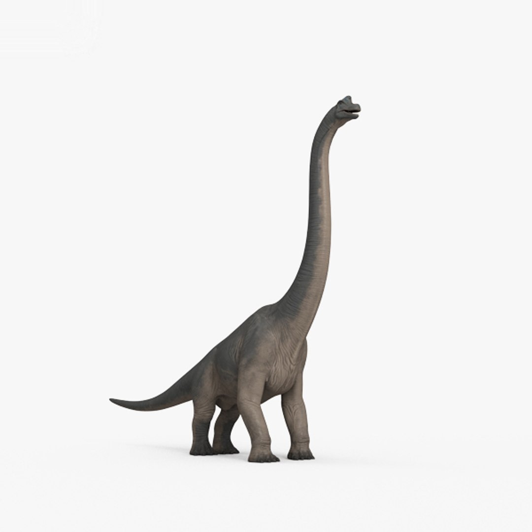 Free STL file Brachiosaurus/Brontosaurus Dinosaur 🦖・3D printable