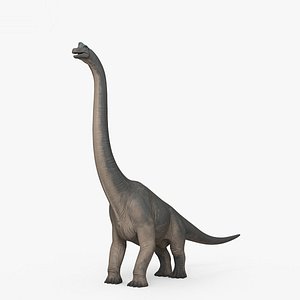 brachiosaurus dinosaurs 3D model