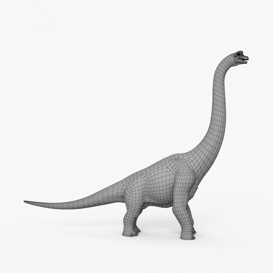 Free STL file Brachiosaurus/Brontosaurus Dinosaur 🦖・3D printable
