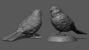 3D model Sparrow on the base