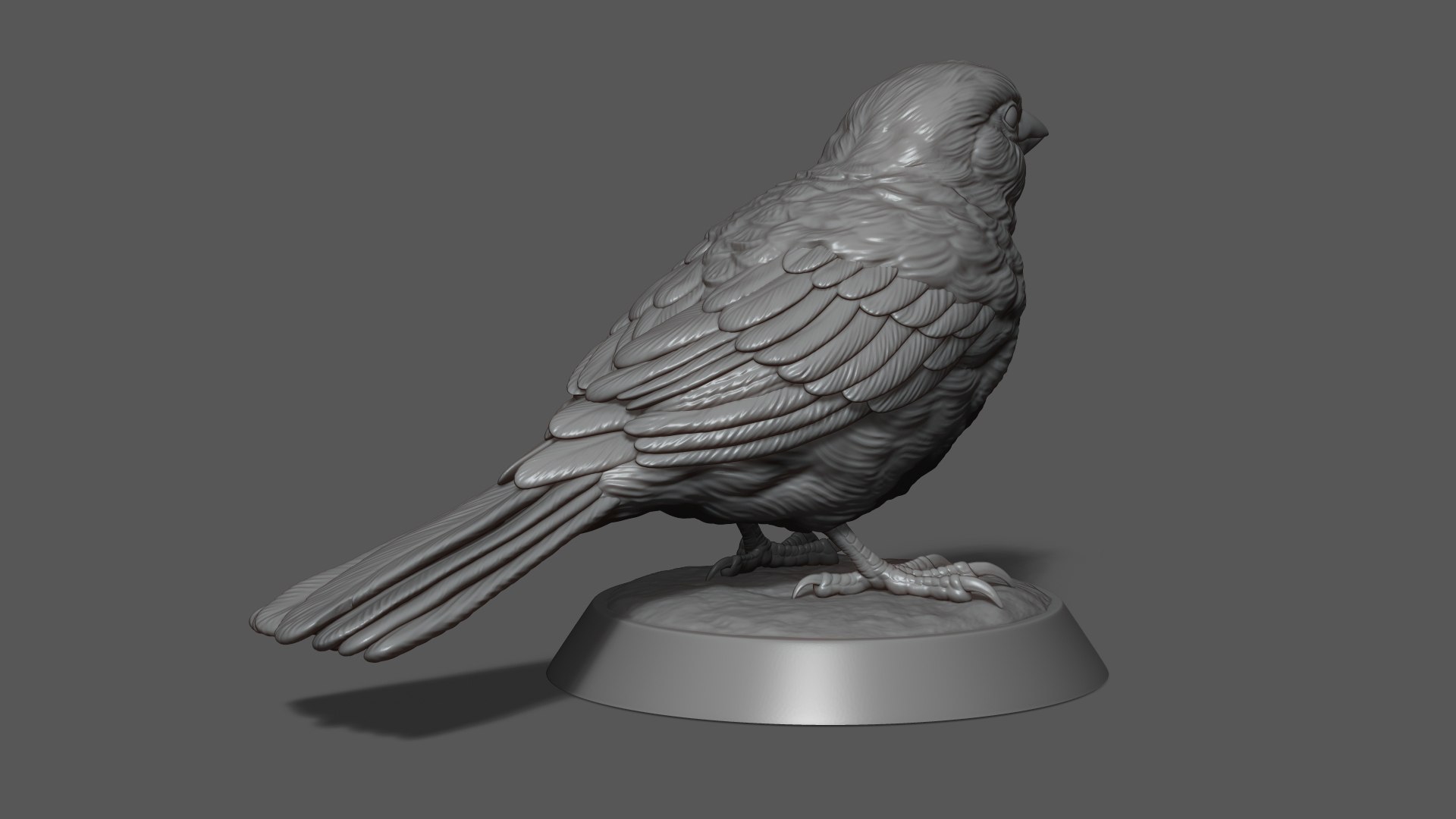 3D Model Sparrow On The Base - TurboSquid 2279256