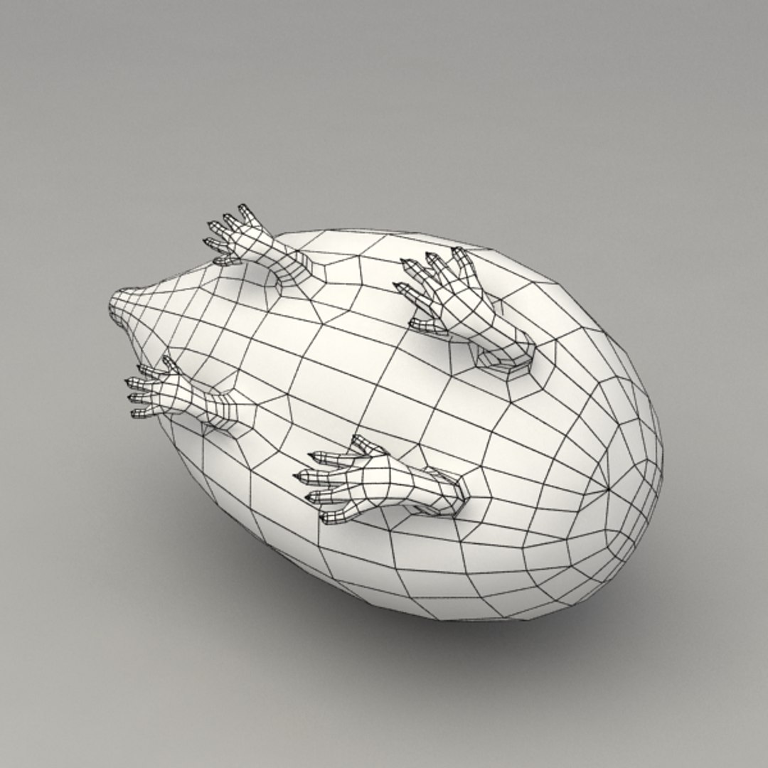 3d Rigged Hedgehog Model