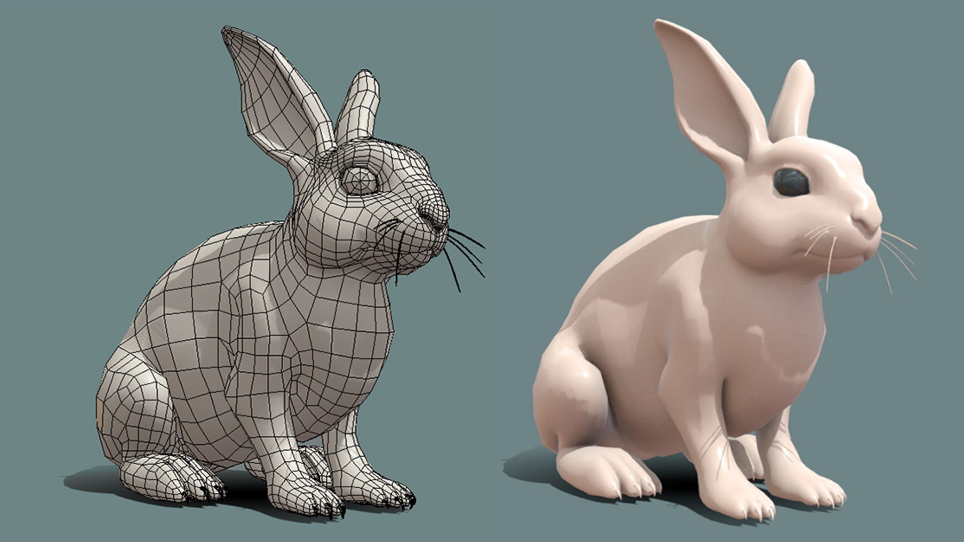 modelo 3d Conejo - TurboSquid 2238280
