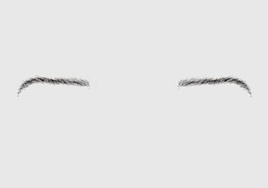 Brown Basic Eyebrow
