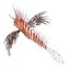 Lionfish Rigged for Cinema 4D