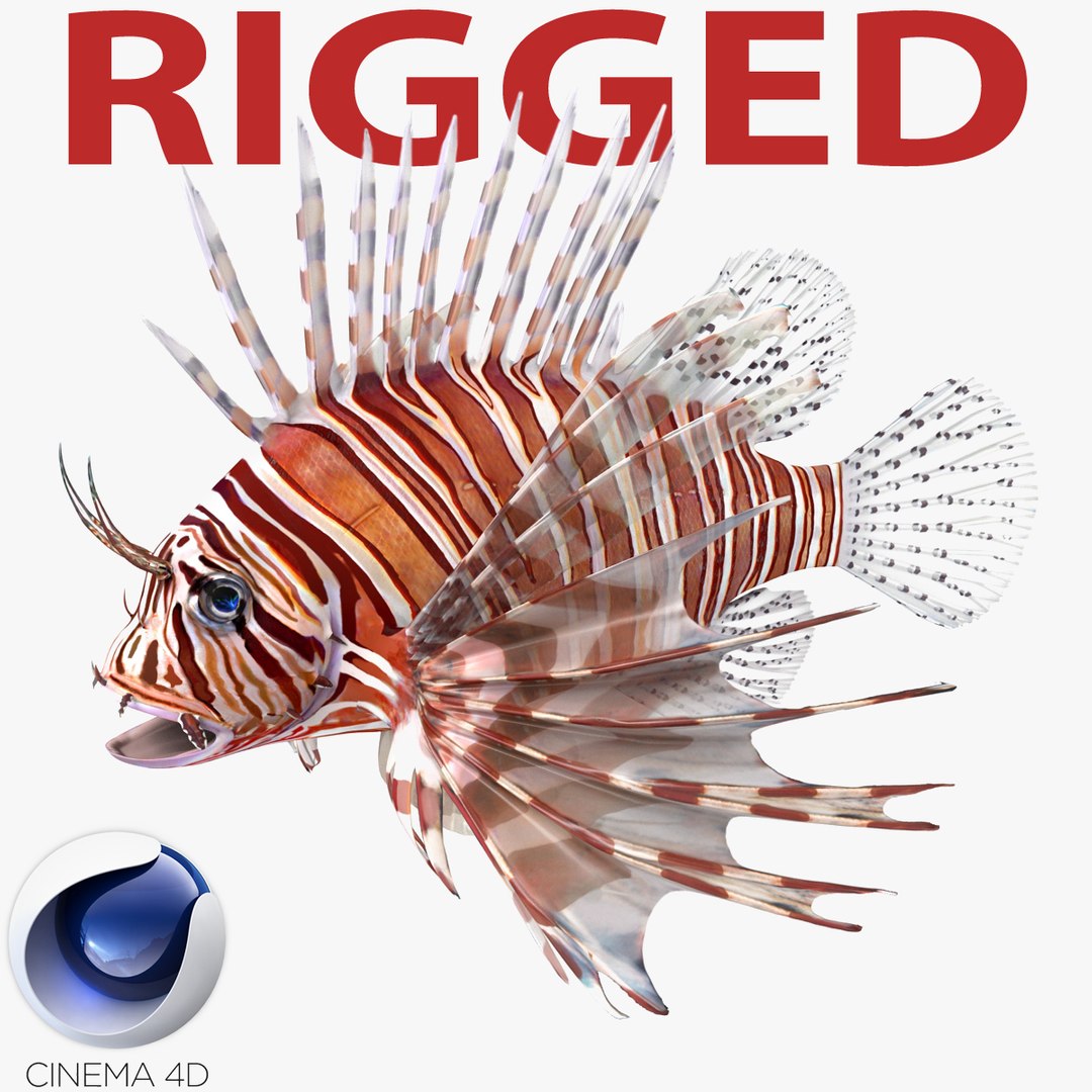 Lionfish Rigged for Cinema 4D 3D model preview