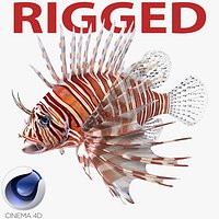 Lionfish Rigged for Cinema 4D