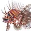 Lionfish Rigged for Cinema 4D