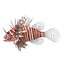 Lionfish Rigged for Cinema 4D