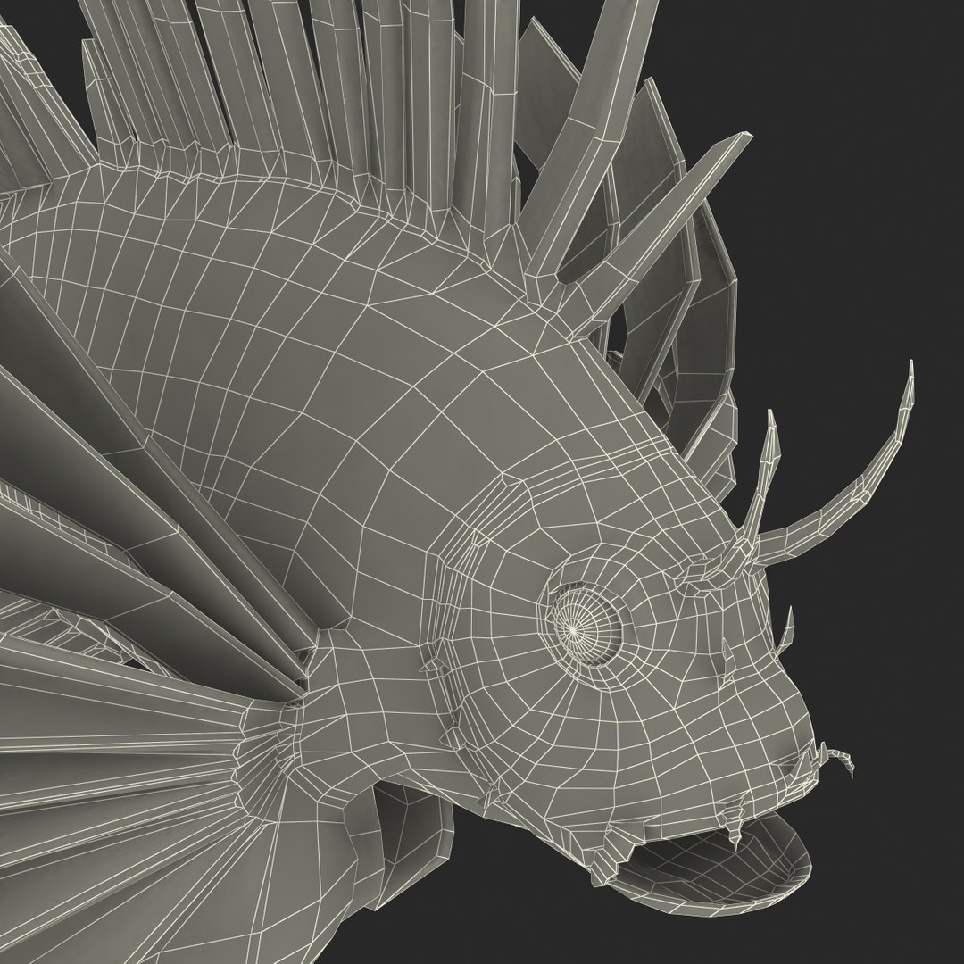 c4d lionfish rigged https://p.turbosquid.com/ts-thumb/HU/tEb9BB/aJdgncmf/lionfishreggedcinema4d3dmodel35/jpg/1479314924/1920x1080/fit_q87/1ed4e0e48652b3da1d3471e2b6f7f0062b416219/lionfishreggedcinema4d3dmodel35.jpg