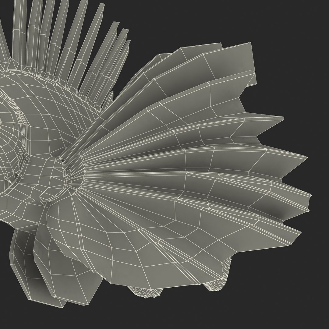 c4d lionfish rigged https://p.turbosquid.com/ts-thumb/HU/tEb9BB/iIxmFkFp/lionfishreggedcinema4d3dmodel37/jpg/1479314924/1920x1080/fit_q87/496660e019cb5f06059dbccd17cb2c2cca52a41f/lionfishreggedcinema4d3dmodel37.jpg