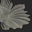 Lionfish Rigged for Cinema 4D