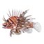 Lionfish Rigged for Cinema 4D
