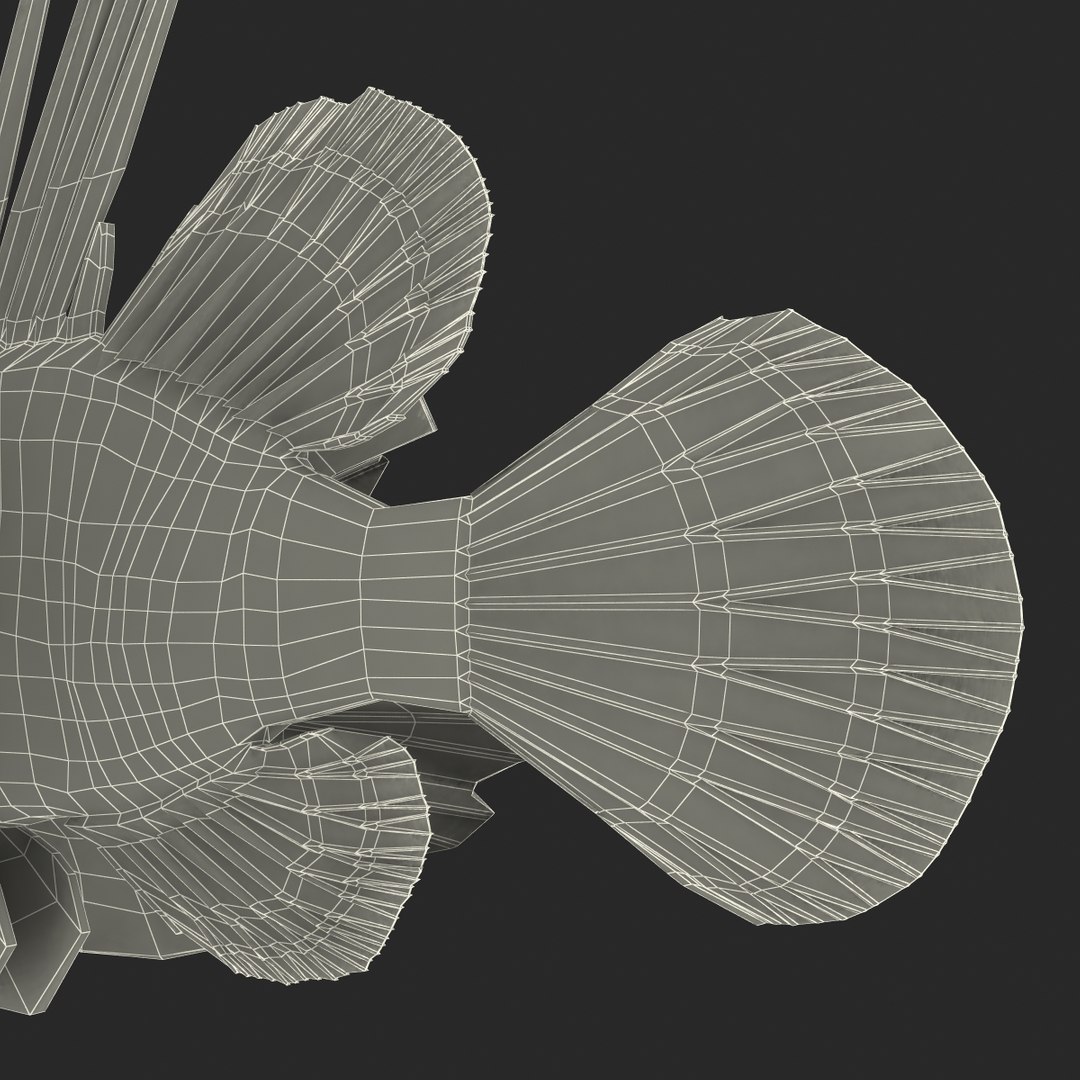 c4d lionfish rigged https://p.turbosquid.com/ts-thumb/HU/tEb9BB/nzFJFdKO/lionfishreggedcinema4d3dmodel36/jpg/1479314924/1920x1080/fit_q87/f7c74d8a7f35bc43d282fad40d80d34bf79437ff/lionfishreggedcinema4d3dmodel36.jpg