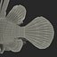 Lionfish Rigged for Cinema 4D