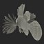 Lionfish Rigged for Cinema 4D