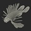 Lionfish Rigged for Cinema 4D