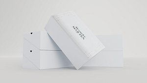 Shoe Boxes Stacked - Alexander Mcqueen - with Simple Texture - 3D Asset