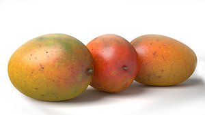 3d model realistic mango