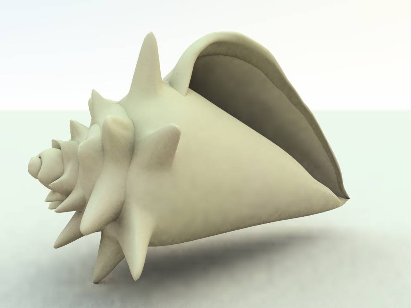 seashell sea shell 3d model https://p.turbosquid.com/ts-thumb/HV/A2JAJ3/GTb6D8FC/shellplain4/jpg/1154195887/1920x1080/fit_q87/159d083013549a9b033f699c120f76cf13b6c124/shellplain4.jpg