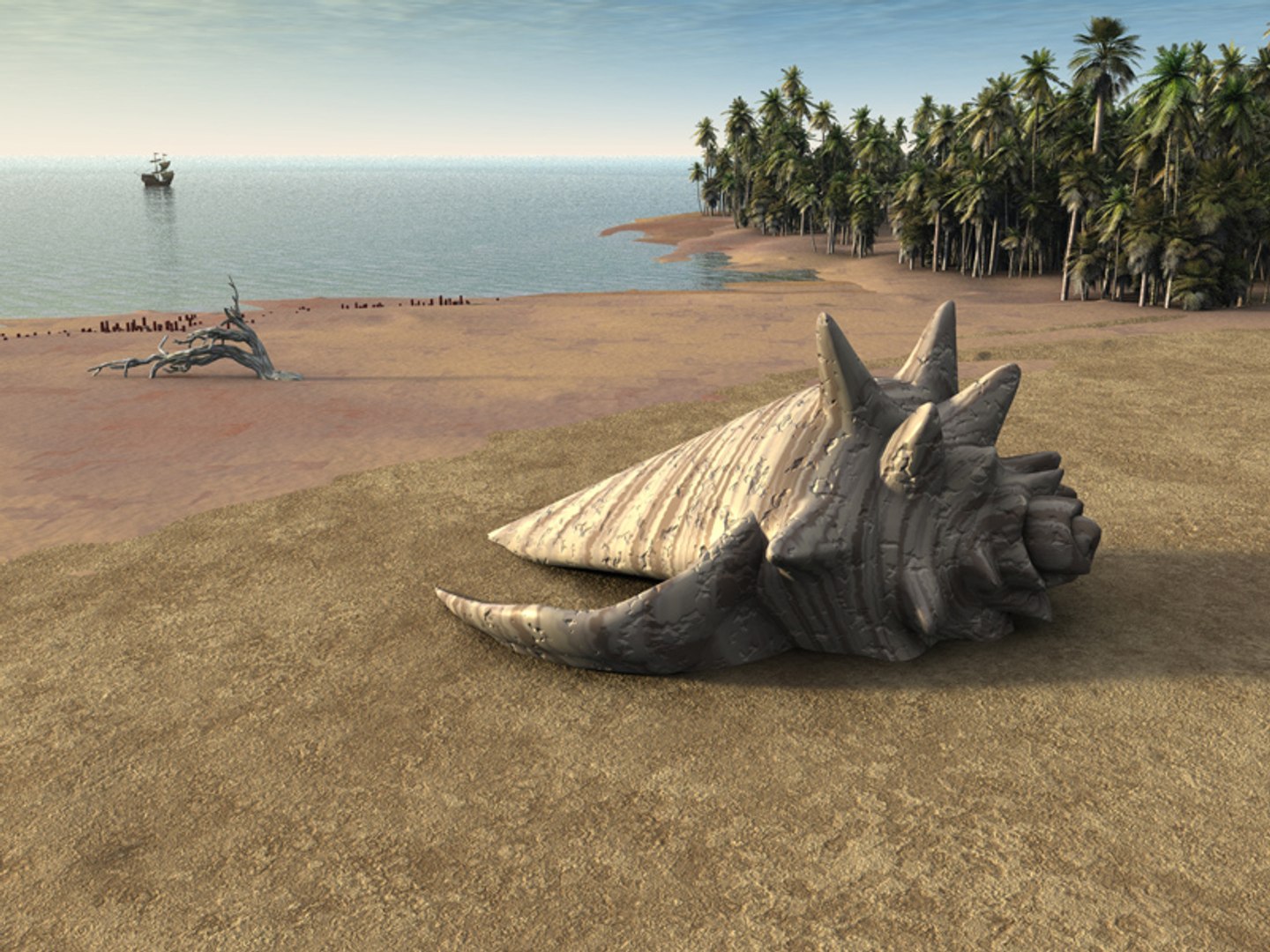 seashell sea shell 3d model https://p.turbosquid.com/ts-thumb/HV/A2JAJ3/IuIqP5Qq/shellonbeac55/jpg/1154195878/1920x1080/fit_q87/23004b44e4486a50d5907cc69c0ca2c710c12c9c/shellonbeac55.jpg