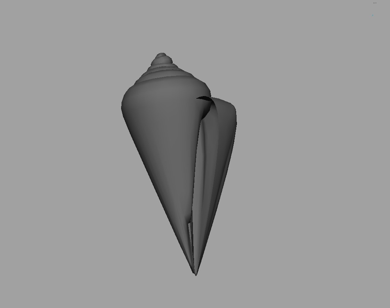 seashell sea shell 3d model https://p.turbosquid.com/ts-thumb/HV/A2JAJ3/OO7BDyzG/screenshot013/jpg/1154195847/1920x1080/fit_q87/5bc63aa44c7238f6bf7152a9adef5b5214d9f03e/screenshot013.jpg