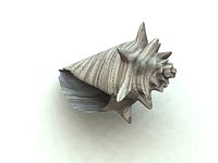 Shell2.0.obj