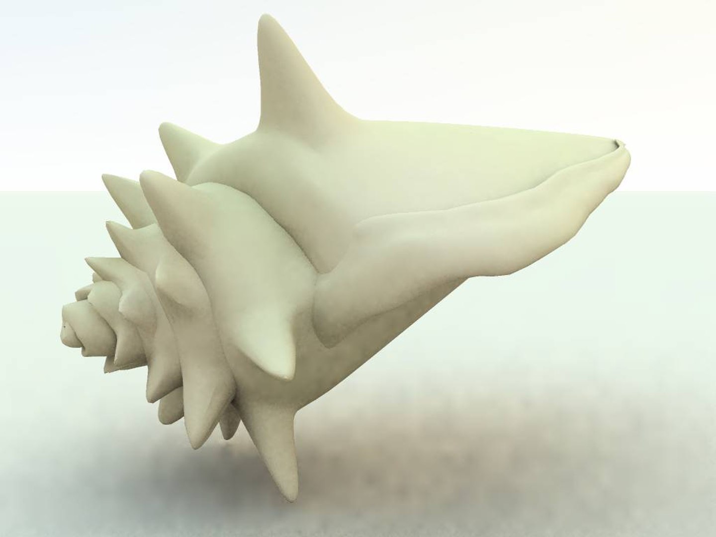 seashell sea shell 3d model https://p.turbosquid.com/ts-thumb/HV/A2JAJ3/p1zql18g/shellplain/jpg/1154195882/1920x1080/fit_q87/6547690930c442c628849a4be62b91a41c5cde62/shellplain.jpg