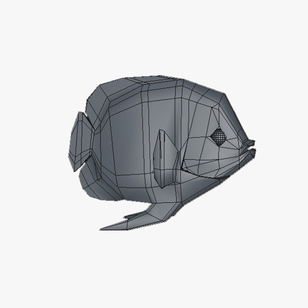 fish 3d c4d https://p.turbosquid.com/ts-thumb/HV/BwYaxf/T2Zpl5Ec/fish_04/jpg/1364156182/1920x1080/fit_q87/c724787494fed70869224982004a2c05f22cee1b/fish_04.jpg