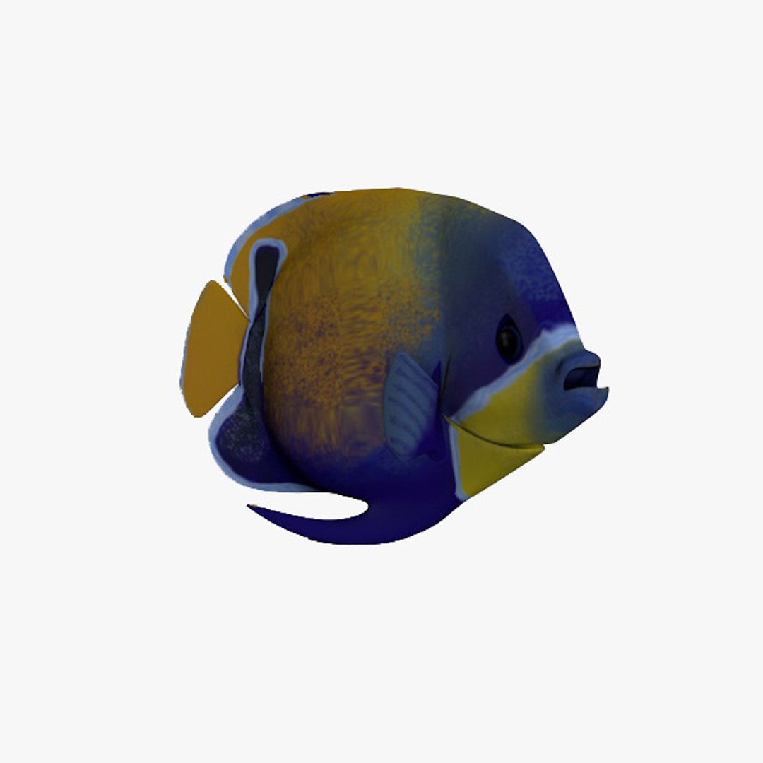 fish 3d c4d https://p.turbosquid.com/ts-thumb/HV/BwYaxf/UMAmKss6/fish_05/jpg/1364156182/1920x1080/fit_q87/5dbf82c7f8992166d7eb87cce845f2d282eff383/fish_05.jpg
